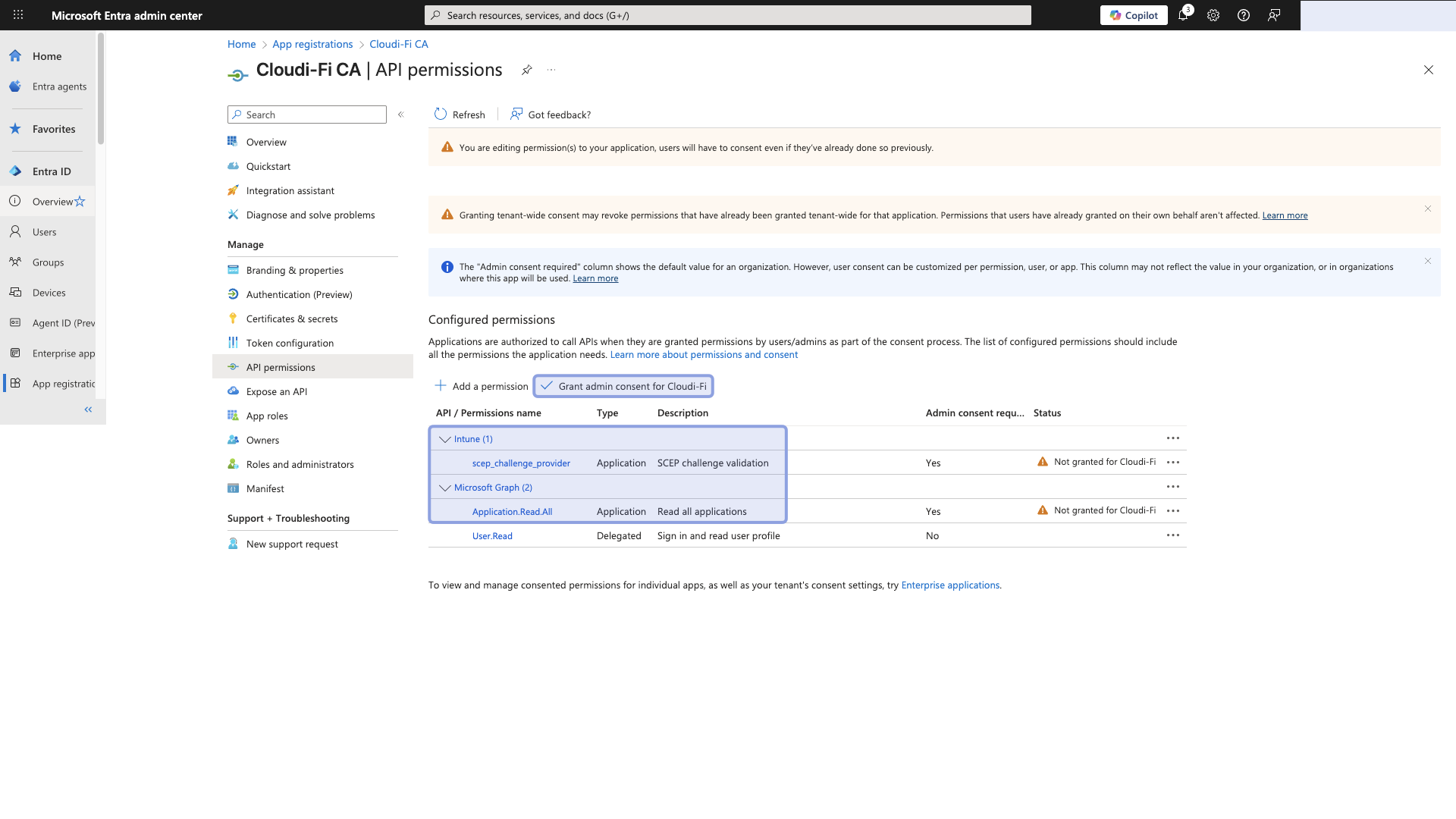 Microsoft entra - grant admin consent for permissions.png